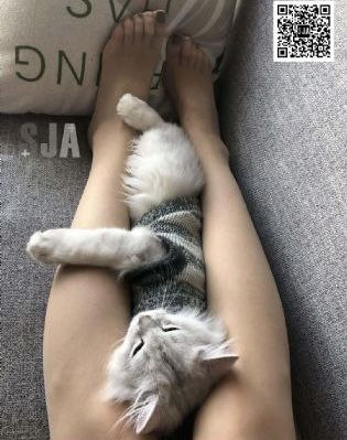 诱人少妇办公室的秘密电影_BD国语HD在线观看