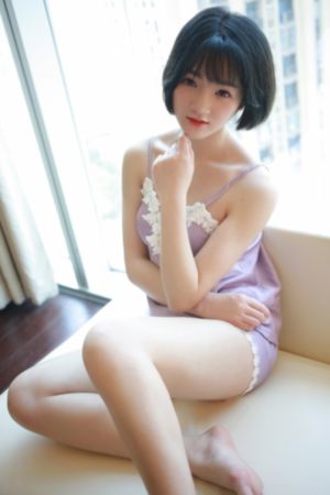 特种兵之火凤凰免费版_DVD在线观看视频