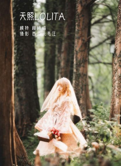 电视剧风筝一共多少集_BD韩语免费电视剧